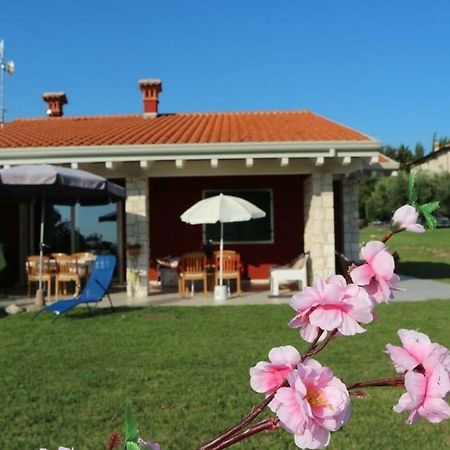 Rosa dei Venti sul Garda Apartment Bardolino Exterior foto