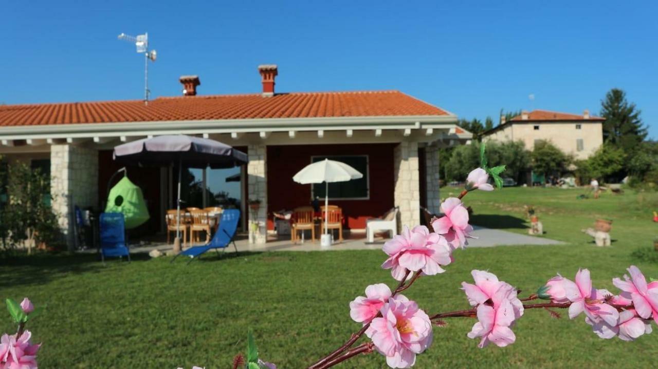 Rosa dei Venti sul Garda Apartment Bardolino Exterior foto